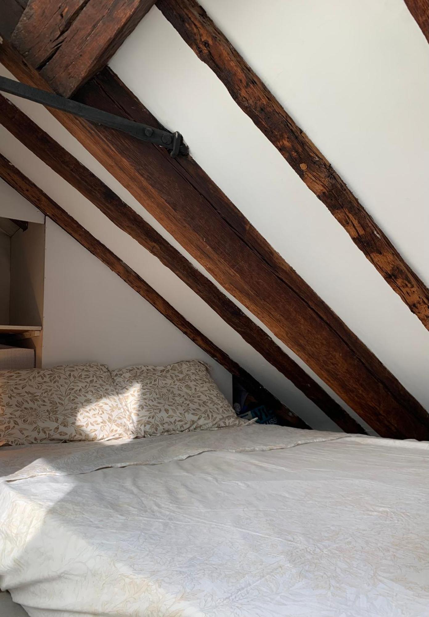 Cozy Mezzanine In The Heart Of Appartement