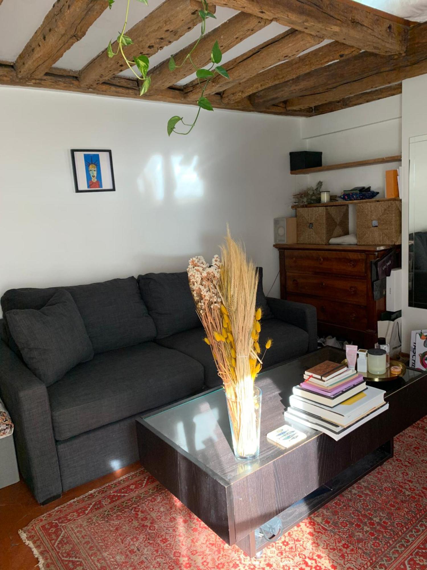 Appartement Cozy Mezzanine In The Heart Of Parijs